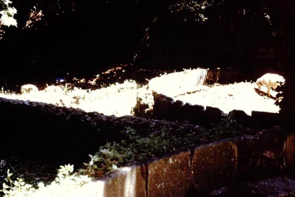 SGG Pompeii. 1961. Looking south-east from SGD schola tomb towards rear of SGF tomb and enclosure SGG.
Photo by Stanley A. Jashemski.
Source: The Wilhelmina and Stanley A. Jashemski archive in the University of Maryland Library, Special Collections (See collection page) and made available under the Creative Commons Attribution-Non Commercial License v.4. See Licence and use details.
J61f0753