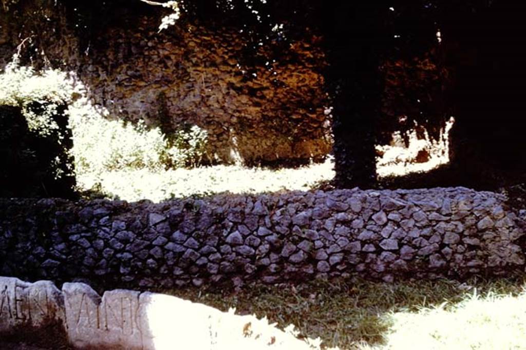 SGG Pompeii. 1961. Looking east to enclosure SGG at rear of schola tomb SGF. Photo by Stanley A. Jashemski.
Source: The Wilhelmina and Stanley A. Jashemski archive in the University of Maryland Library, Special Collections (See collection page) and made available under the Creative Commons Attribution-Non Commercial License v.4. See Licence and use details.
J61f0752