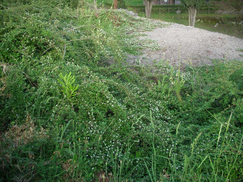 Tower II, Pompeii. May 2010. Looking south-east from upper floor. Photo courtesy of Ivo van der Graaff.