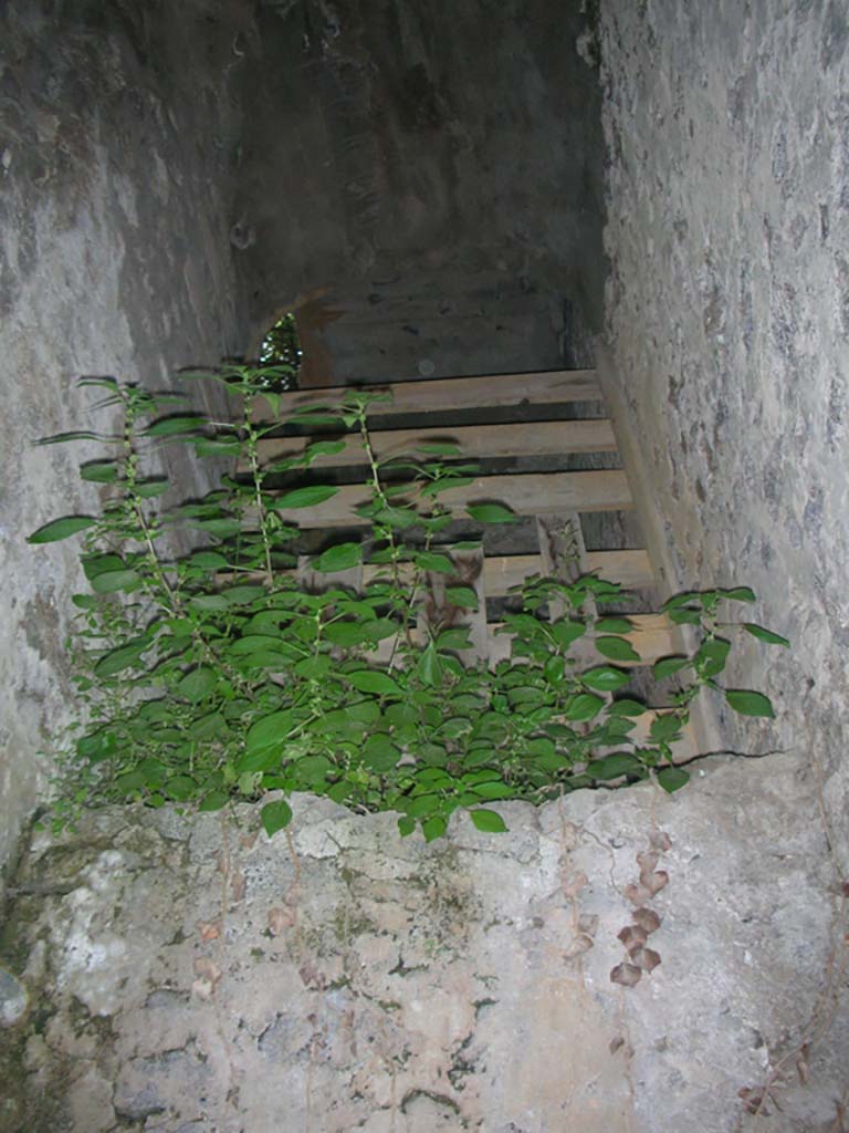 Tower II, Pompeii. May 2010. 
Detail of upper floor visible in north wall of narrow room/stairway. Photo courtesy of Ivo van der Graaff.
