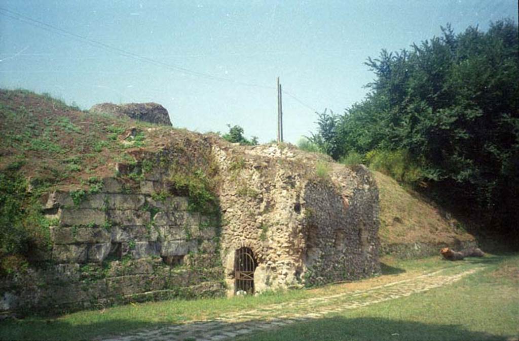 T7 Pompeii. July 2011. Looking west along the city walls towards Tower VII. Photo courtesy of Rick Bauer.