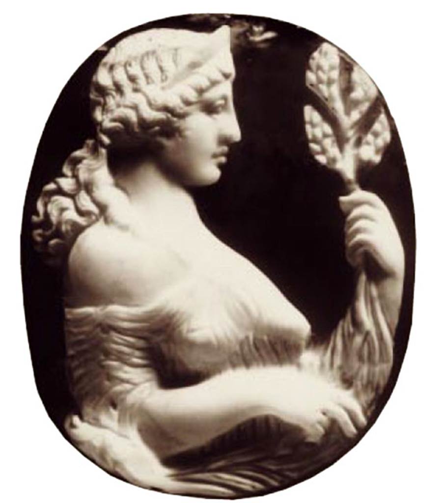Gragnano, Capella di San Marco. Villa di Anteros ed Heracleo. Villa del Fauno. 
Illustration of Agate and onyx cameo depicting a woman, perhaps Venus, holding a leafy branch in her hands. 
See Di Massa G., Il Territorio di Gragnano nell’antichità e l’Ager Stabianus, p. 45.