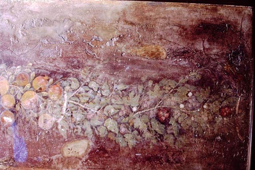 Villa of P. Fannius Synistor at Boscoreale. 1968. Peristyle E, south end of west wall.
Fruit and leaf garland painting with Corinthian column (Right hand end).
Now in Naples Archaeological Museum. Inventory number s. n. 2. 
Source: The Wilhelmina and Stanley A. Jashemski archive in the University of Maryland Library, Special Collections (See collection page) and made available under the Creative Commons Attribution-Non Commercial License v.4. See Licence and use details.
J68f0807
