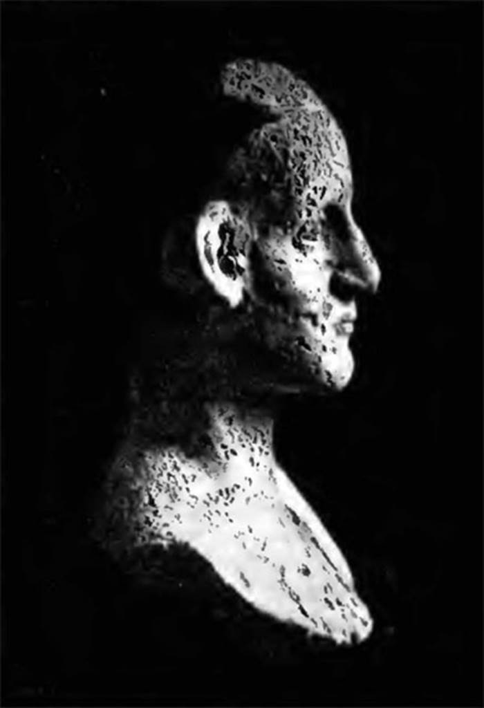 Villa of T. Siminius Stephanus, fondo Barbatelli. November 1899. Side view of stucco male head. See Notizie degli Scavi di Antichit, 1899, p. 447, fig. 8b.