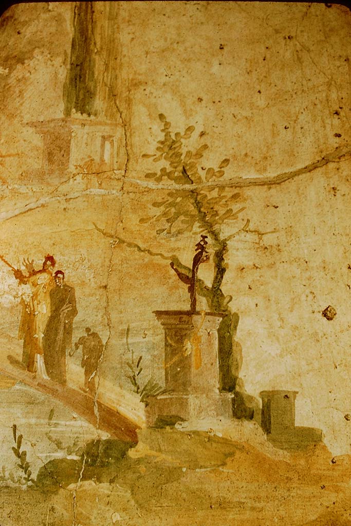 Villa of Agrippa Postumus. Boscotrecase. 1957. Room 16, detail from painting in centre of north wall.
Photo by Stanley A. Jashemski.
Source: The Wilhelmina and Stanley A. Jashemski archive in the University of Maryland Library, Special Collections (See collection page) and made available under the Creative Commons Attribution-Non Commercial License v.4. See Licence and use details.
J57f0510