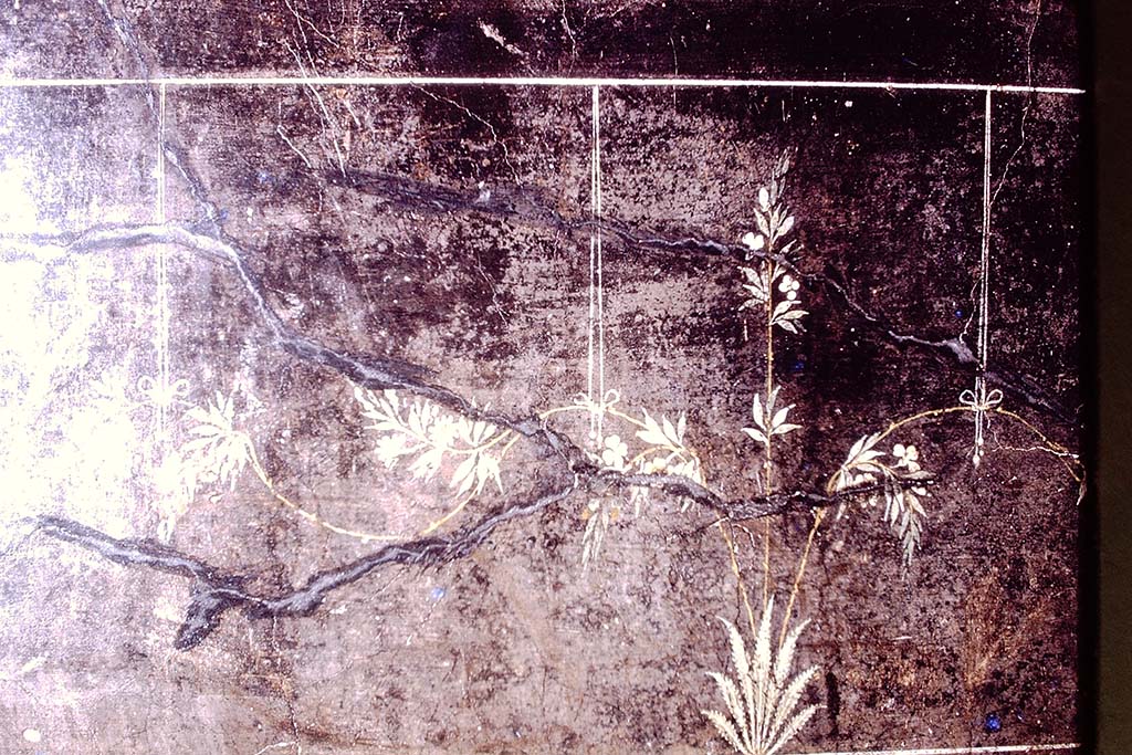 Villa Agrippa Postumus. Boscotrecase. 1975. Detail of zoccolo. Photo by Stanley A. Jashemski.
Source: The Wilhelmina and Stanley A. Jashemski archive in the University of Maryland Library, Special Collections (See collection page) and made available under the Creative Commons Attribution-Non Commercial License v.4. See Licence and use details.
J75f0560