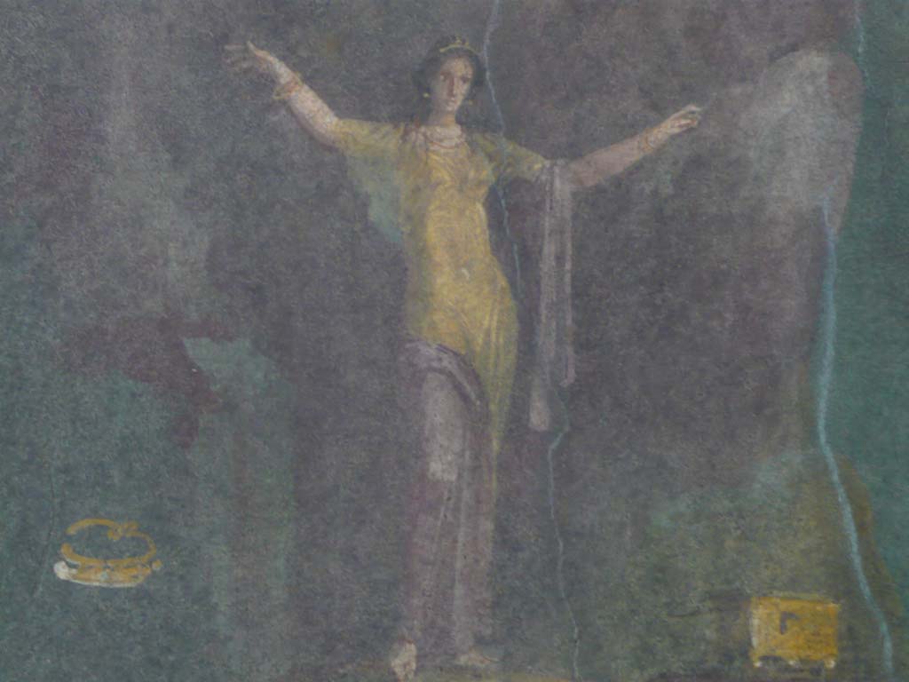 Villa of Agrippa Postumus, Boscotrecase. December 2010. Room 19, detail of Andromeda chained to the rock.
Photograph taken at Metropolitan Museum New York. Photo courtesy of Buzz Ferebee.