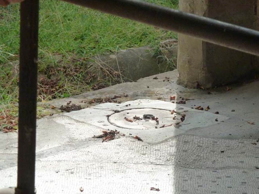 Oplontis, September 2015. Portico 13, looking south-west across flooring.