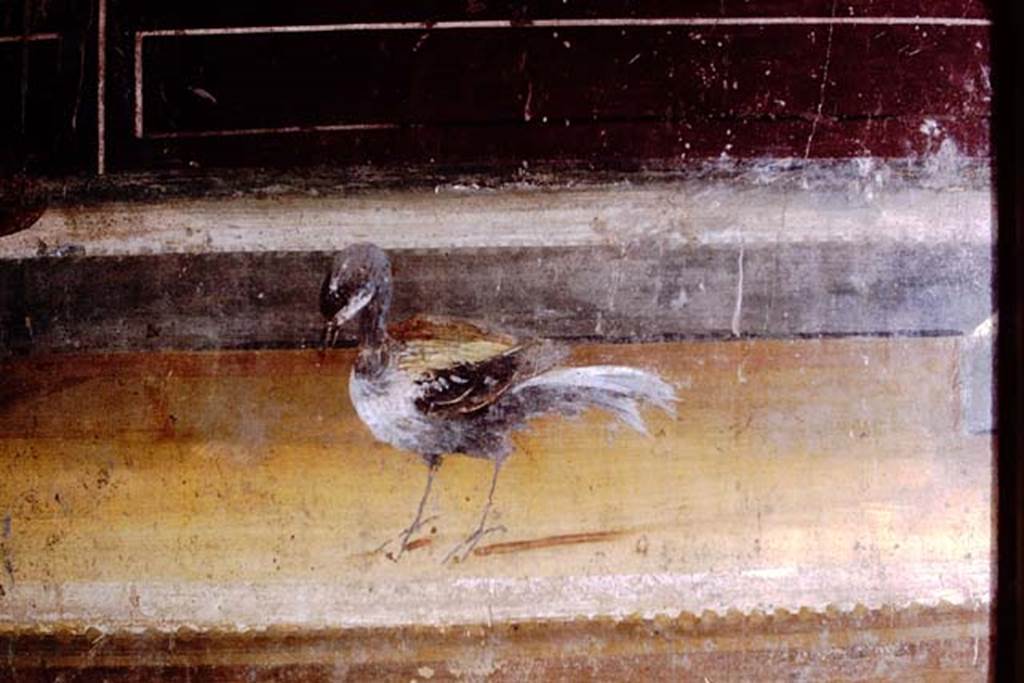 Oplontis, 1973. Room 14, detail of bird on wall decorations in triclinium.  Photo by Stanley A. Jashemski. 
Source: The Wilhelmina and Stanley A. Jashemski archive in the University of Maryland Library, Special Collections (See collection page) and made available under the Creative Commons Attribution-Non Commercial License v.4. See Licence and use details. J73f0372
