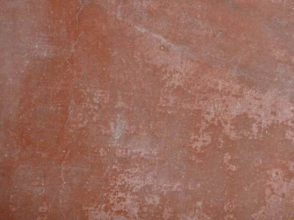 Oplontis, September 2015. Room 55, painted bird in middle of red panel on west wall.