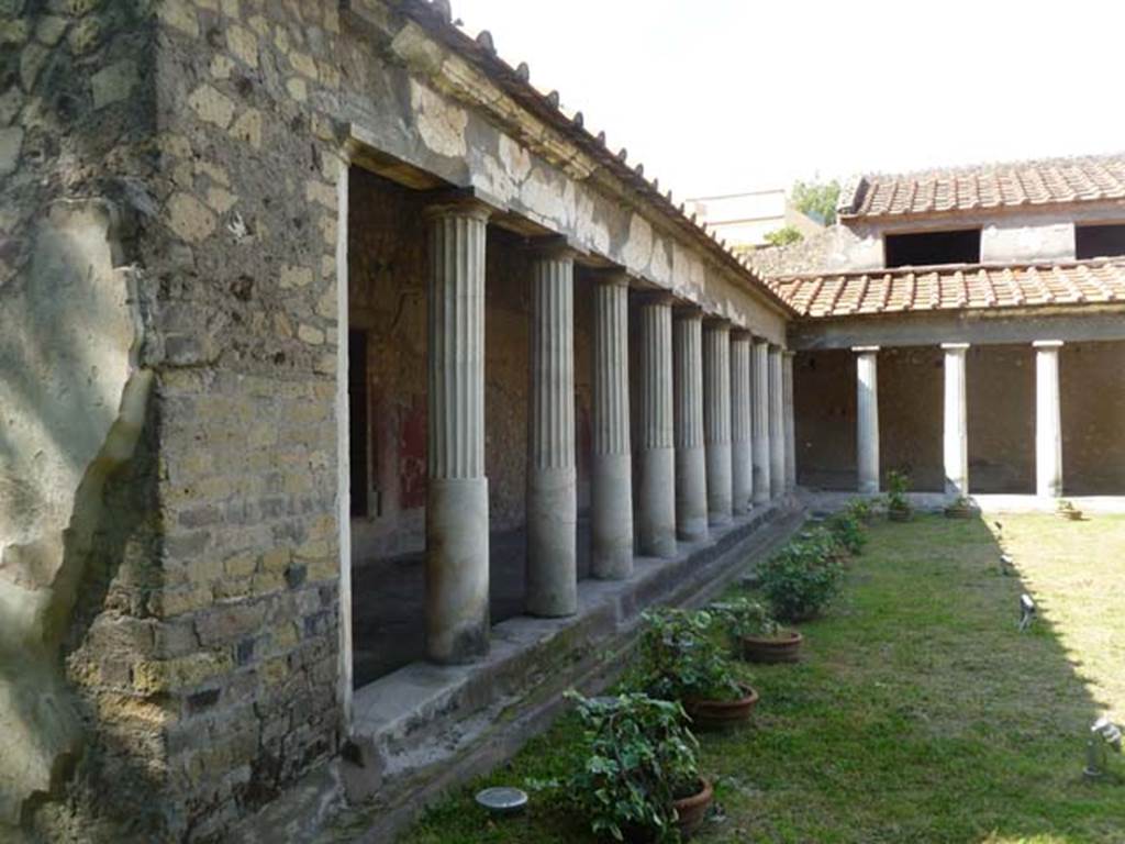 Oplontis, May 2011. Area 59, the south-east peristyle. Looking north along west portico, with terracotta pots planted with Ivy. Photo courtesy of Michael Binns.
These terracotta pots have been replanted in exactly the same place as Wilhelmina Jashemski discovered original pots buried in the soil. (See Jashemski Excavations, 1978). She thought the pots may have been buried there to encourage climbers to grow up the columns. She thought Ivy was the most probable plant, as Roman gardeners did not have a great choice of climbers. 
