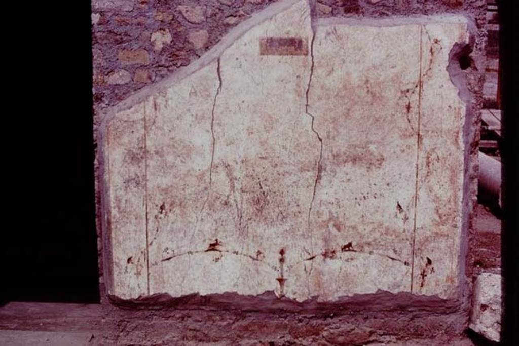 Oplontis, 1977. Area 60, white wall of the portico facing the pool, on north side of doorway to room 75. Photo by Stanley A. Jashemski.
Source: The Wilhelmina and Stanley A. Jashemski archive in the University of Maryland Library, Special Collections (See collection page) and made available under the Creative Commons Attribution-Non Commercial License v.4. See Licence and use details.
J77f0137
