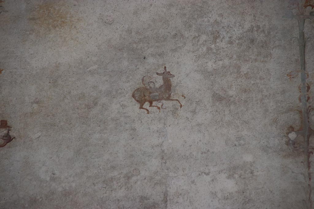 Villa of Poppaea, Oplontis, October 2023. 
Area 60, detail of painted decoration from west portico wall, in centre above doorway to room 72. Photo courtesy of Klaus Heese. 
