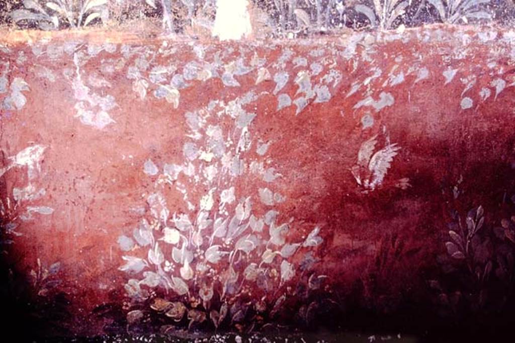 Oplontis, 1976.Room 61, detail from zoccolo (dado/plinth on lower wall) below fountain. Photo by Stanley A. Jashemski.   
Source: The Wilhelmina and Stanley A. Jashemski archive in the University of Maryland Library, Special Collections (See collection page) and made available under the Creative Commons Attribution-Non Commercial License v.4. See Licence and use details. J76f0395
