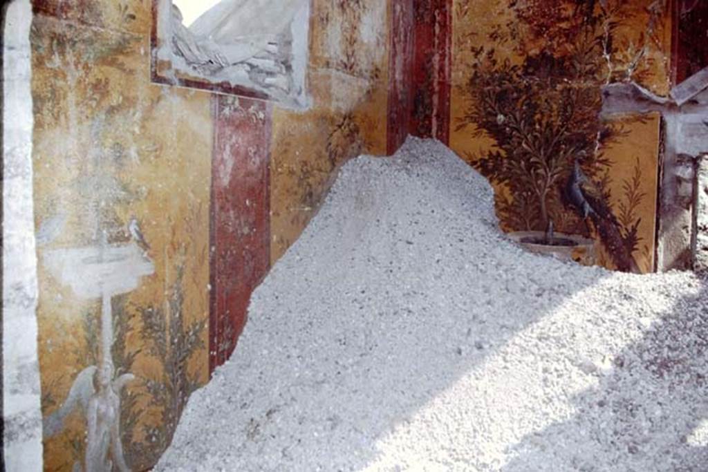 Oplontis, 1975. Room 70, west wall with window, north-west corner and north wall with painted peacock. Photo by Stanley A. Jashemski.   
Source: The Wilhelmina and Stanley A. Jashemski archive in the University of Maryland Library, Special Collections (See collection page) and made available under the Creative Commons Attribution-Non Commercial License v.4. See Licence and use details. J75f0310
