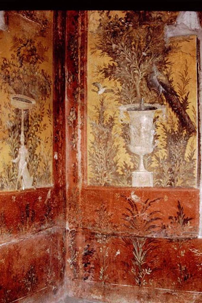 Oplontis, 1978. Room 70, zoccolo in north-west corner. Photo by Stanley A. Jashemski.   
Source: The Wilhelmina and Stanley A. Jashemski archive in the University of Maryland Library, Special Collections (See collection page) and made available under the Creative Commons Attribution-Non Commercial License v.4. See Licence and use details.J78f0293
