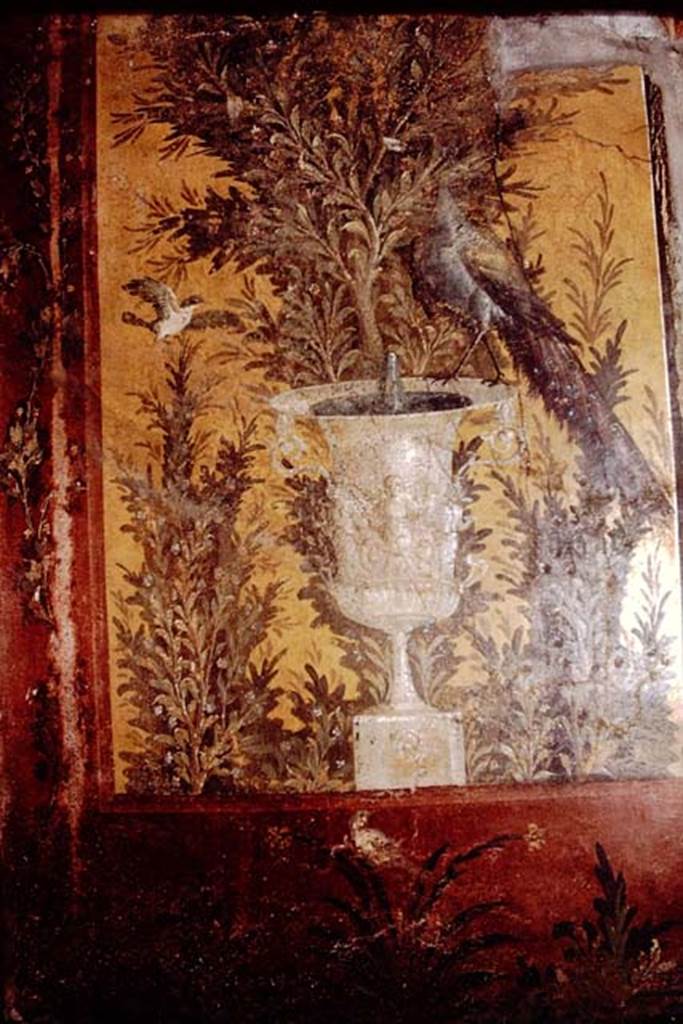 Oplontis, 1978. Room 70, peacock on fountain on west end of north wall. Photo by Stanley A. Jashemski.   
Source: The Wilhelmina and Stanley A. Jashemski archive in the University of Maryland Library, Special Collections (See collection page) and made available under the Creative Commons Attribution-Non Commercial License v.4. See Licence and use details. J78f0285
