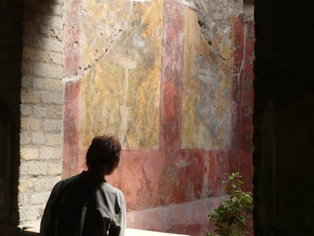 Oplontis, May 2011. Room 70, tourist (showing the scale of the room) looking south along the east wall. Photo courtesy of Buzz Ferebee.
