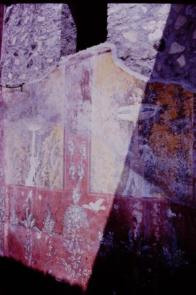 Oplontis, 1977. Room 70, looking north along east wall. Photo by Stanley A. Jashemski.   
Source: The Wilhelmina and Stanley A. Jashemski archive in the University of Maryland Library, Special Collections (See collection page) and made available under the Creative Commons Attribution-Non Commercial License v.4. See Licence and use details. J77f0372

