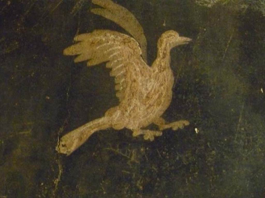 Oplontis, May 2011. Corridor 77, detail of bird from centre of panel.  Photo courtesy of Michael Binns.