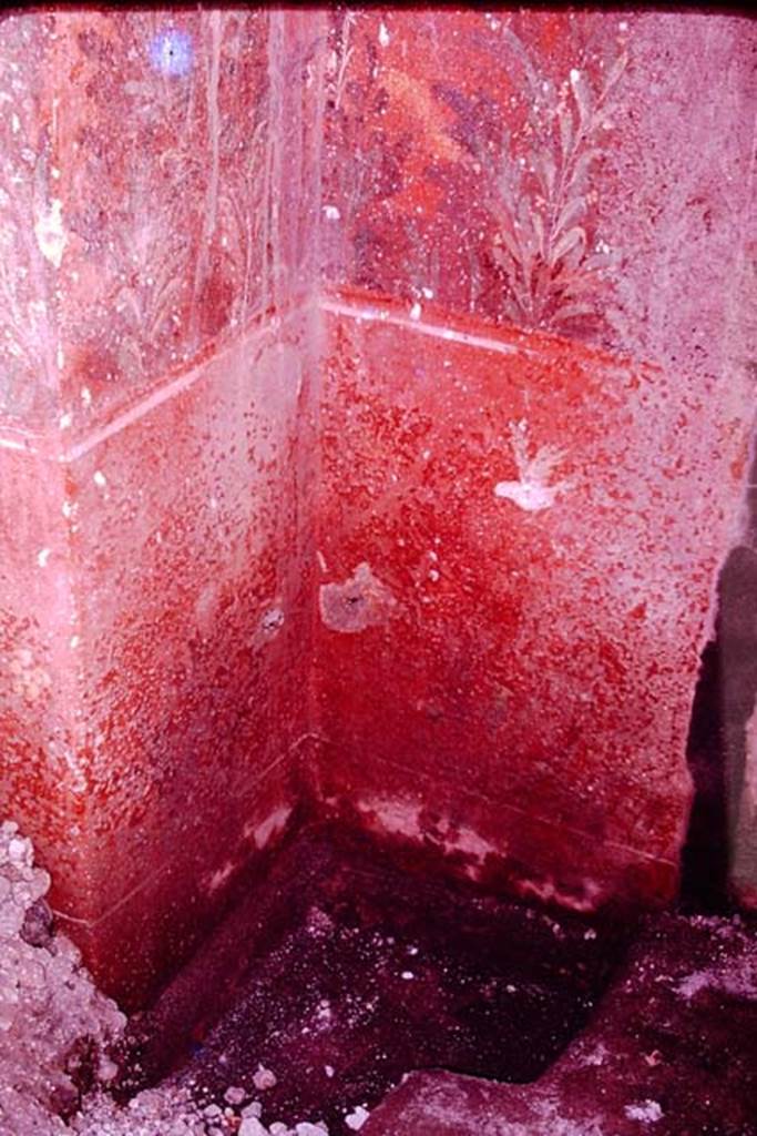 Oplontis, 1977. Room 87, painted south wall on east side of doorway to room 73.  
Photo by Stanley A. Jashemski.   
Source: The Wilhelmina and Stanley A. Jashemski archive in the University of Maryland Library, Special Collections (See collection page) and made available under the Creative Commons Attribution-Non Commercial License v.4. See Licence and use details. J77f0405

