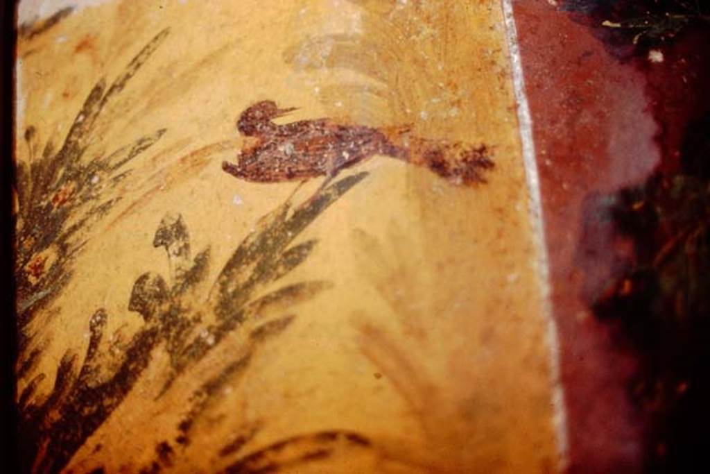 Oplontis, 1983 or 1984. Room 87, detail from panel on north wall, at east side of semi-circular window.
Source: The Wilhelmina and Stanley A. Jashemski archive in the University of Maryland Library, Special Collections (See collection page) and made available under the Creative Commons Attribution-Non Commercial License v.4. See Licence and use details. Oplo0064
