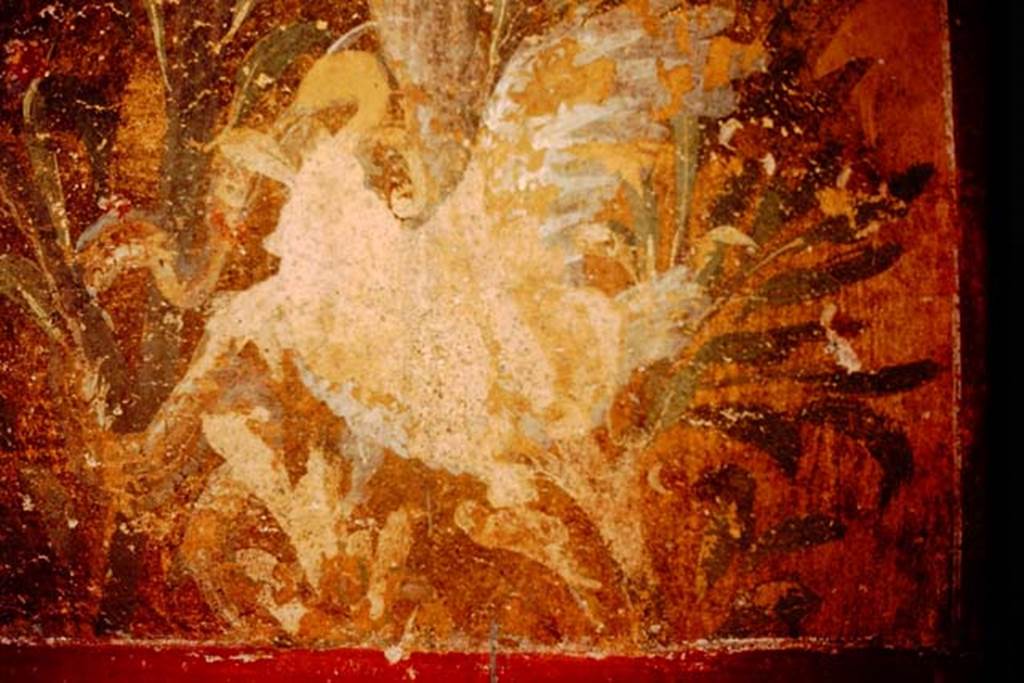 Oplontis, 1983 or 1984. Room 87, detail from panel on north wall, at east side of semi-circular window.
Source: The Wilhelmina and Stanley A. Jashemski archive in the University of Maryland Library, Special Collections (See collection page) and made available under the Creative Commons Attribution-Non Commercial License v.4. See Licence and use details. Oplo0063
