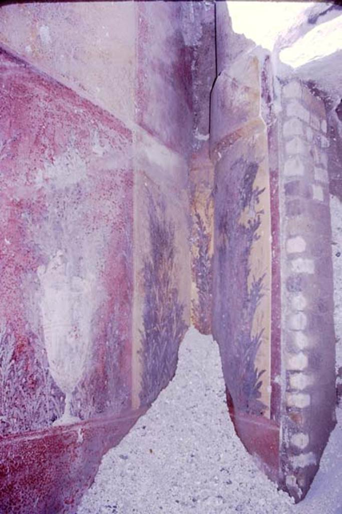 Oplontis, 1977. Room 87, painted wall decorations from north-west corner. Photo by Stanley A. Jashemski.   
Source: The Wilhelmina and Stanley A. Jashemski archive in the University of Maryland Library, Special Collections (See collection page) and made available under the Creative Commons Attribution-Non Commercial License v.4. See Licence and use details. J77f0377
