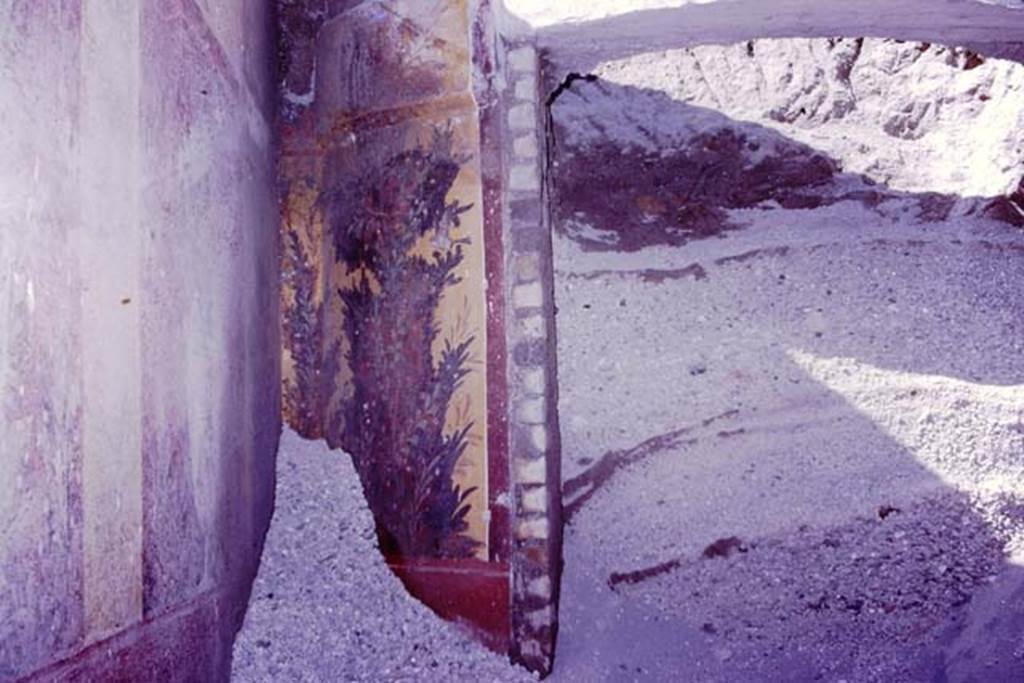 Oplontis, 1977. Room 87, looking north through semi-circular window into room 89, still under lapilli. Photo by Stanley A. Jashemski.   
Source: The Wilhelmina and Stanley A. Jashemski archive in the University of Maryland Library, Special Collections (See collection page) and made available under the Creative Commons Attribution-Non Commercial License v.4. See Licence and use details. J77f0378
