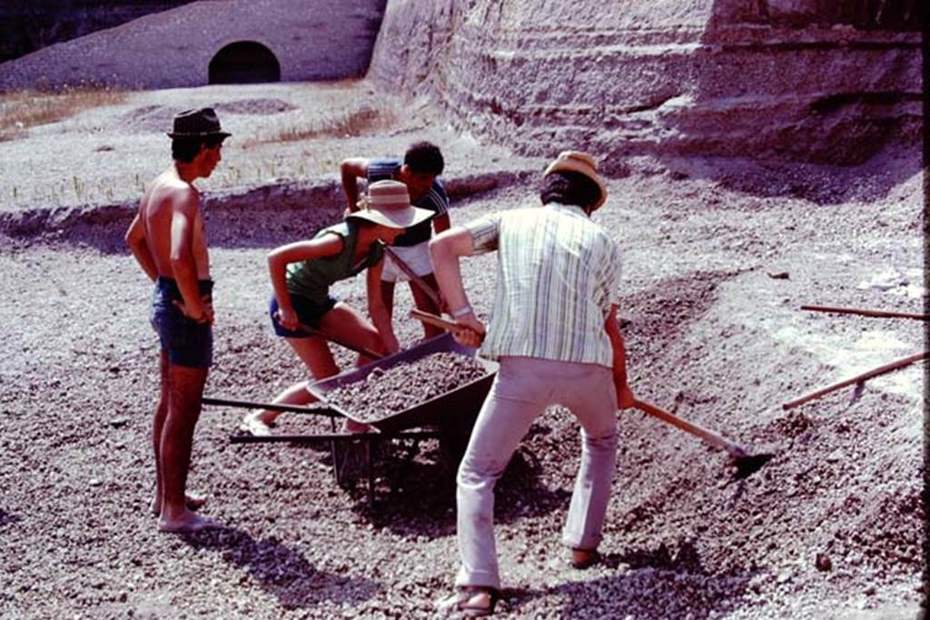 Oplontis, 1977. Looking west along north garden, digging through the lapilli to the original soil level.  Looking west along north side of excavated area. Photo by Stanley A. Jashemski.   
Source: The Wilhelmina and Stanley A. Jashemski archive in the University of Maryland Library, Special Collections (See collection page) and made available under the Creative Commons Attribution-Non Commercial License v.4. See Licence and use details. J77f0125
