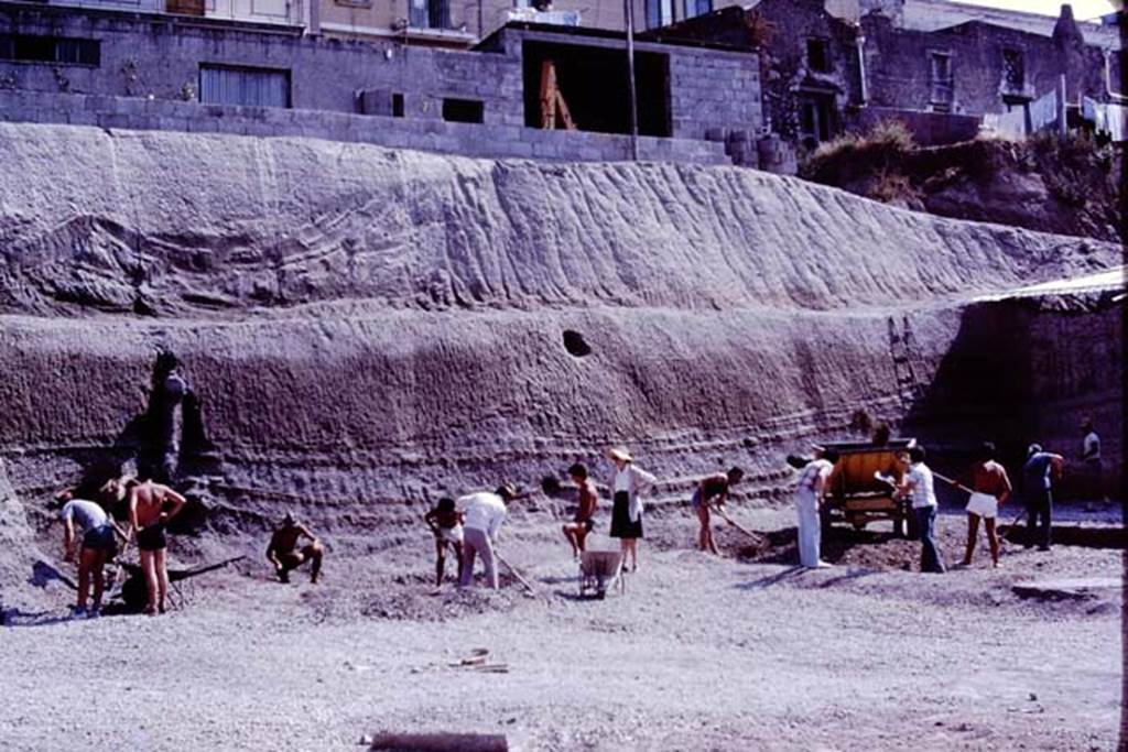 Oplontis, 1977. Looking north in north-east corner of north garden. Photo by Stanley A. Jashemski.   
Source: The Wilhelmina and Stanley A. Jashemski archive in the University of Maryland Library, Special Collections (See collection page) and made available under the Creative Commons Attribution-Non Commercial License v.4. See Licence and use details. J77f0165
