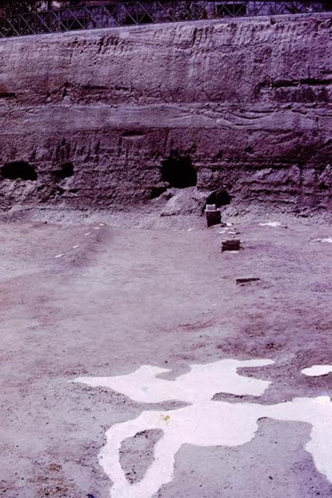 Oplontis, 1977. Looking north-west in the north garden.
Looking from the huge root cavity found in 1974, which took 230 large buckets of cement to fill in 1975, along the diagonal line of a pathway, with bases.
Wilhelmina thought the diagonal pathway probably joined with the central pathway leading out from room 21, although this could not be proved as the meeting point would be under the still unexcavated area.
Photo by Stanley A. Jashemski.
Source: The Wilhelmina and Stanley A. Jashemski archive in the University of Maryland Library, Special Collections (See collection page) and made available under the Creative Commons Attribution-Non Commercial License v.4. See Licence and use details.
J77f0358
According to Wilhelmina, At the edge of the diagonal passageway on the east, four masonry statue bases were found. On them the marble shafts that supported the sculptured white marble heads had been mounted. In 1975, we had found the portrait head of a woman of the Julio-Claudian period. In addition, the Italian excavators had found the head of the goddess Aphrodite, the child Dionysus and the fine head of a Julio-Claudian boy, which some claimed was most certainly the child Nero.
These herms, which would have been set in the middle of clumps of plants, mainly oleanders, reminded us of the garden paintings that showed sculpture set amid masses of flowering oleanders. Only the shaft of one other herm was found, and a few details of the hair still on the shaft were sufficient for Stefano De Caro to identify the missing head as that of a bearded archaic-type Dionysus. 
See Jashemski, W.F., 2014. Discovering the Gardens of Pompeii: Memoirs of a Garden Archaeologist, (p.255)
