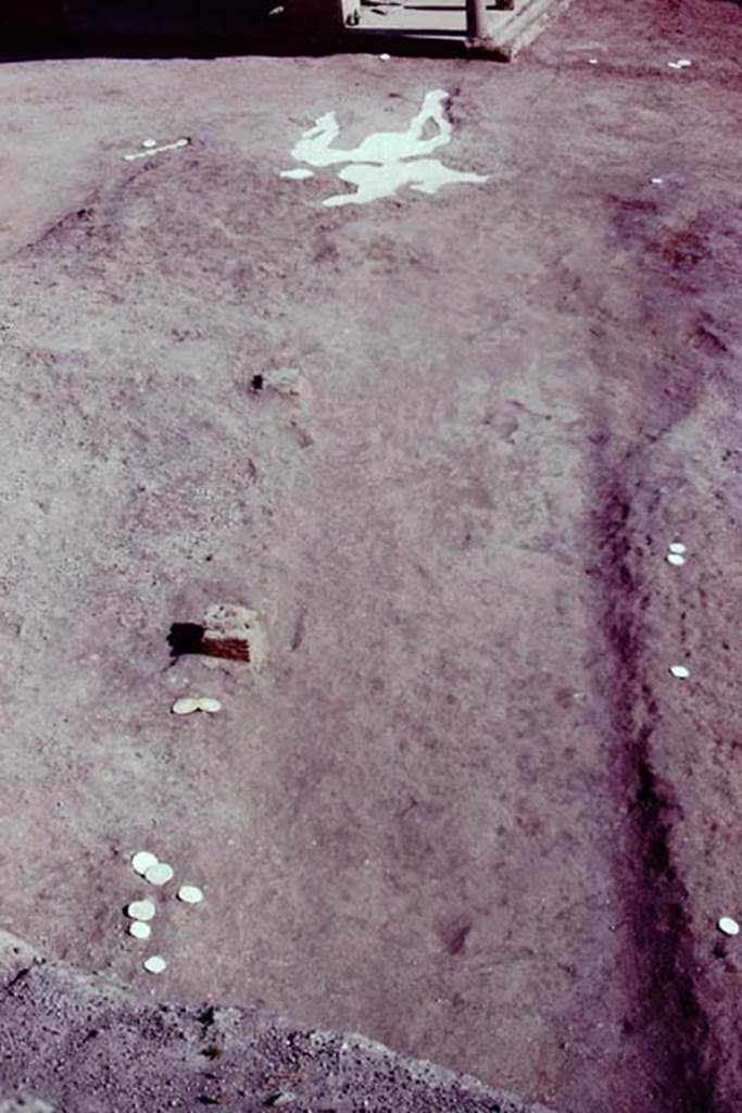 Oplontis, c.1977. Looking south-east along diagonal path in the north garden, towards large root-cavity and east portico 34.
Source: The Wilhelmina and Stanley A. Jashemski archive in the University of Maryland Library, Special Collections (See collection page) and made available under the Creative Commons Attribution-Non Commercial License v.4. See Licence and use details. Oplo0097
