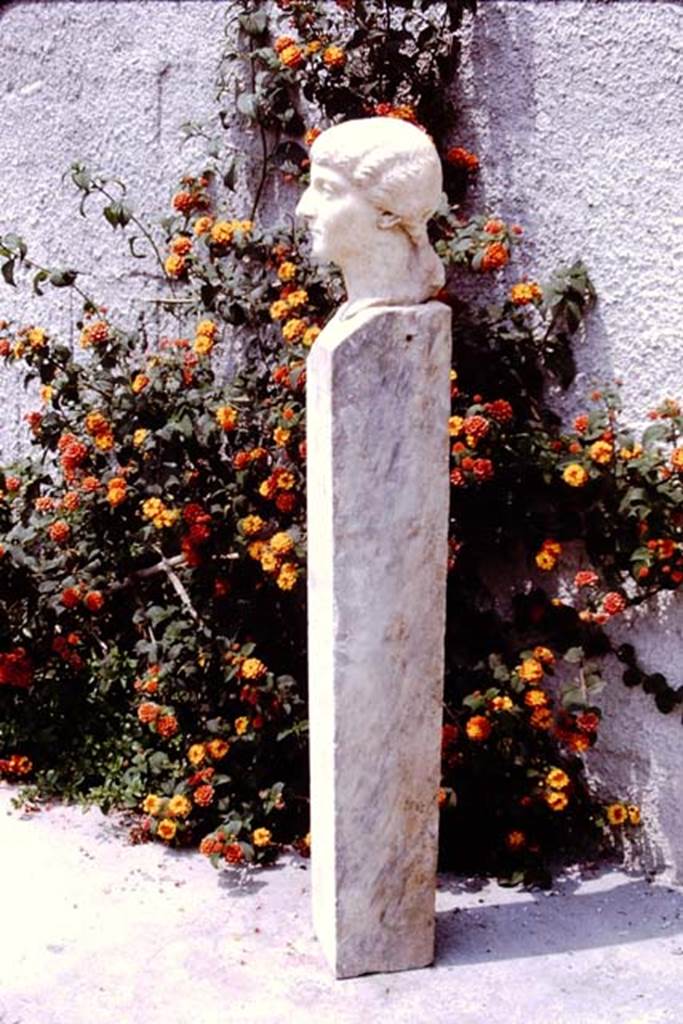 Oplontis Villa of Poppea, 1975. Beautiful marble head and shaft found in the north garden. Photo by Stanley A. Jashemski. 
Source: The Wilhelmina and Stanley A. Jashemski archive in the University of Maryland Library, Special Collections (See collection page) and made available under the Creative Commons Attribution-Non Commercial License v.4. See Licence and use details.
J75f0134
