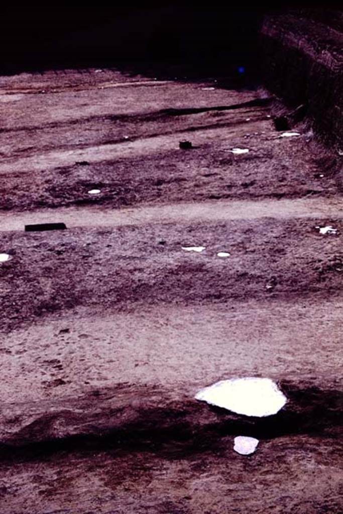 Oplontis, 1977. North garden, looking west along north side near unexcavated, showing the lines of the pathways. Photo by Stanley A. Jashemski.   
Source: The Wilhelmina and Stanley A. Jashemski archive in the University of Maryland Library, Special Collections (See collection page) and made available under the Creative Commons Attribution-Non Commercial License v.4. See Licence and use details. J77f0428
