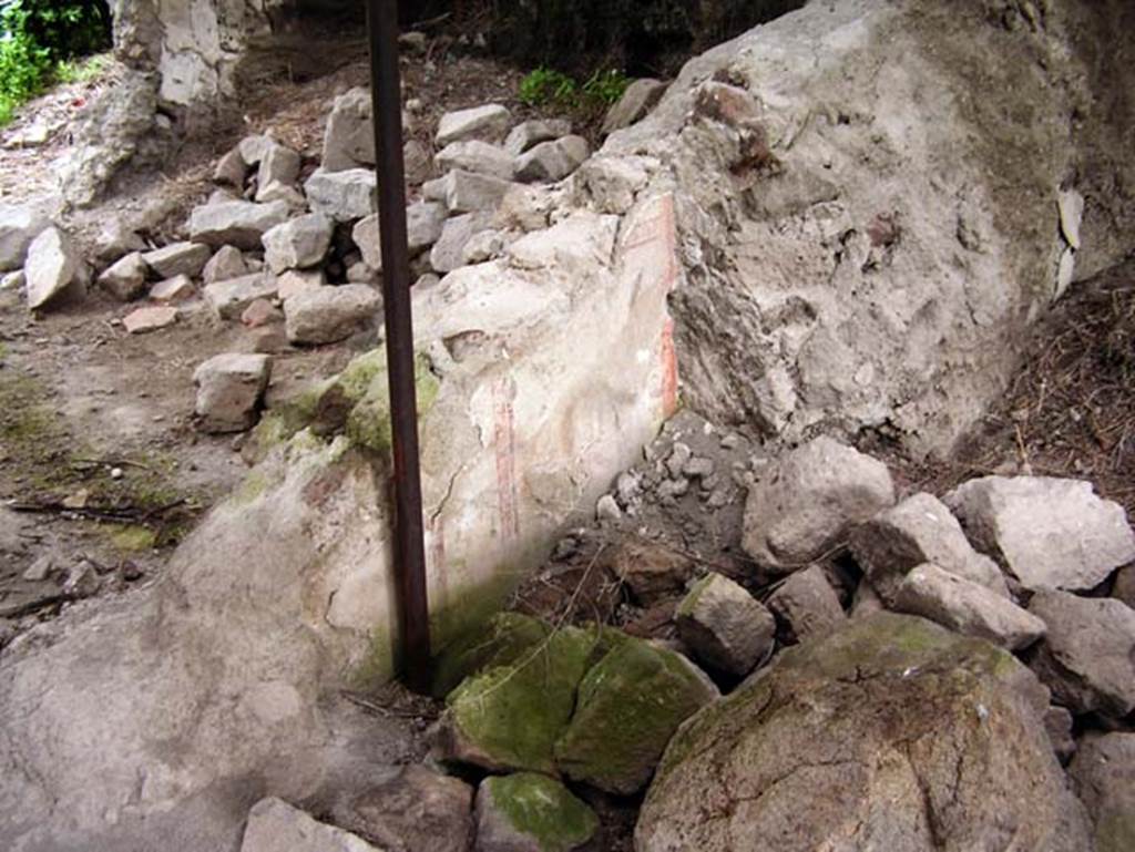 Oplontis, Villa of Lucius Crassius Tertius. March 2005. Remains of painted plaster. Photo courtesy of Massimo Gravili.