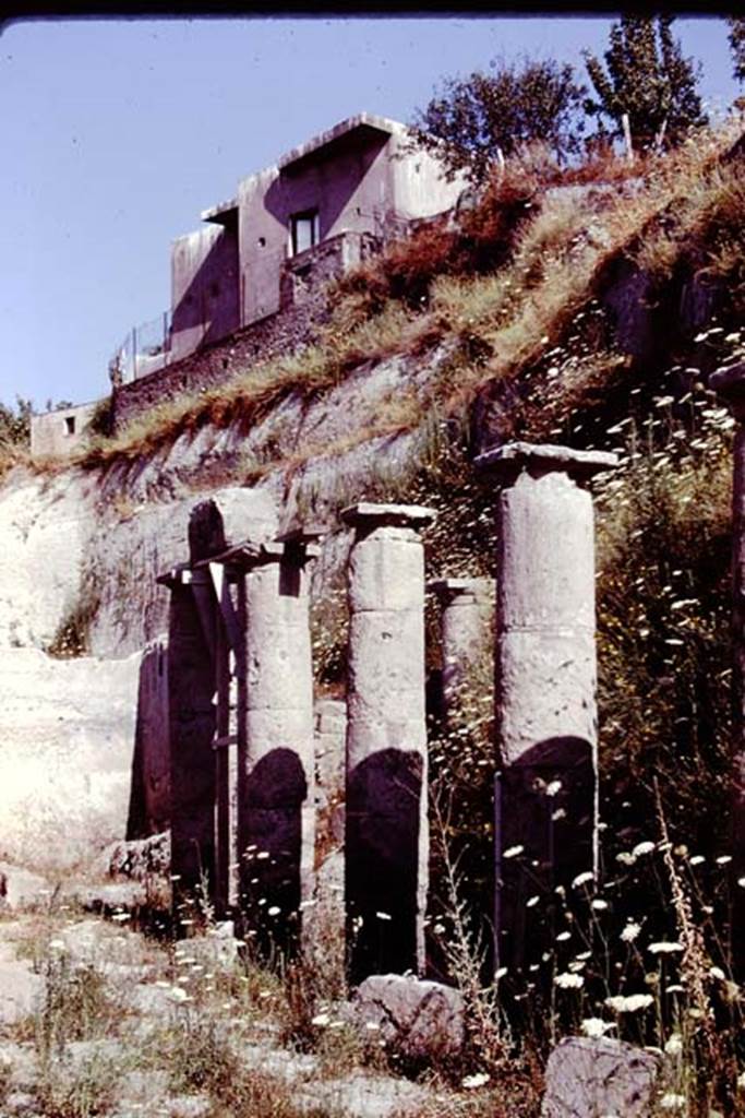 Oplontis, Villa of Lucius Crassius Tertius. 1978. West end of area 20. Photo by Stanley A. Jashemski.
Source: The Wilhelmina and Stanley A. Jashemski archive in the University of Maryland Library, Special Collections (See collection page) and made available under the Creative Commons Attribution-Non Commercial License v.4. See Licence and use details.
J78f0612