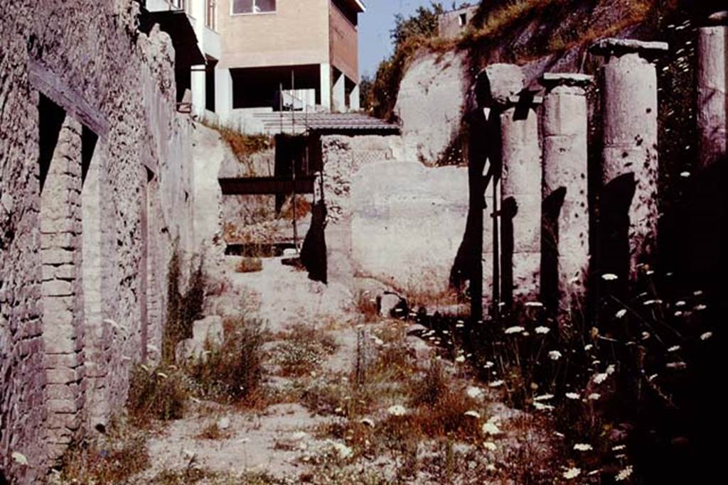Oplontis, Villa of Lucius Crassius Tertius. 1978. Area 20, south side of peristyle, with rooms 13, 12, 1 and 11 on left and 21 and 22 at the back.
Photo by Stanley A. Jashemski.
Source: The Wilhelmina and Stanley A. Jashemski archive in the University of Maryland Library, Special Collections (See collection page) and made available under the Creative Commons Attribution-Non Commercial License v.4. See Licence and use details.
J78f0597