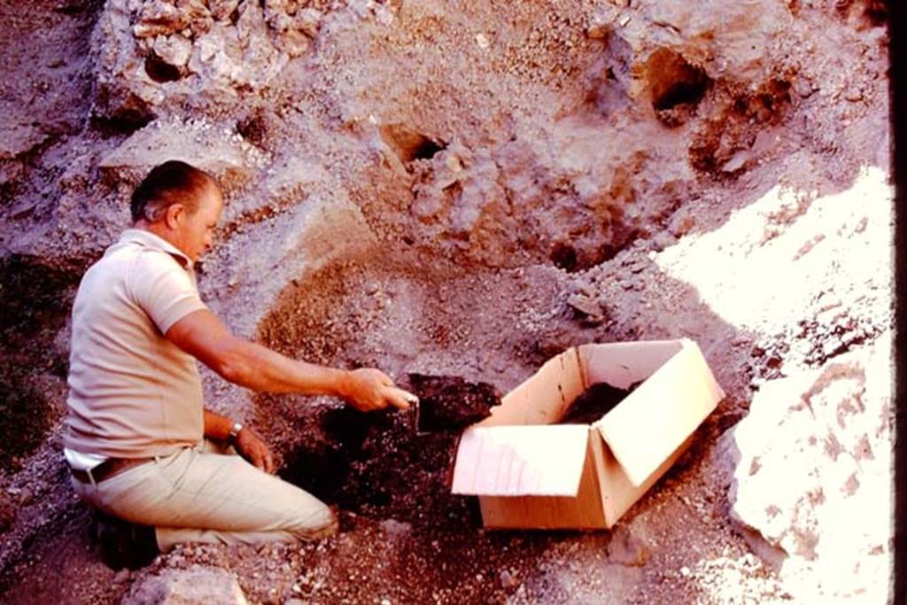 Oplontis, Villa of Lucius Crassius Tertius. 1978. Excavating burnt material.
Photo by Stanley A. Jashemski.
Source: The Wilhelmina and Stanley A. Jashemski archive in the University of Maryland Library, Special Collections (See collection page) and made available under the Creative Commons Attribution-Non Commercial License v.4. See Licence and use details.
J78f0607