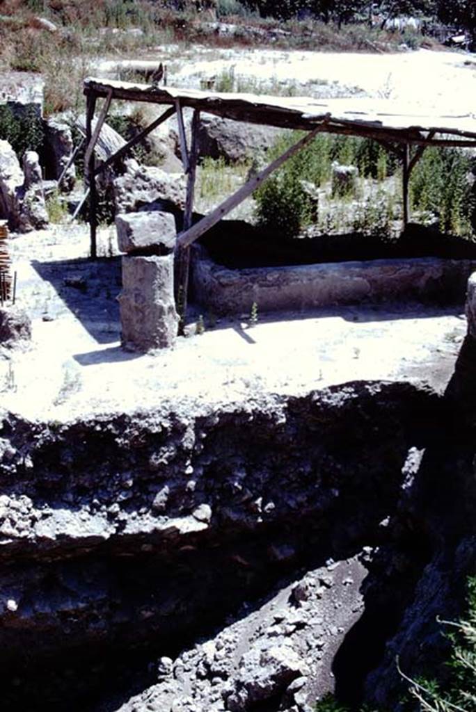 Oplontis, Villa of Lucius Crassius Tertius. 1975. Looking east. Photo by Stanley A. Jashemski.
Source: The Wilhelmina and Stanley A. Jashemski archive in the University of Maryland Library, Special Collections (See collection page) and made available under the Creative Commons Attribution-Non Commercial License v.4. See Licence and use details.
J75f0419