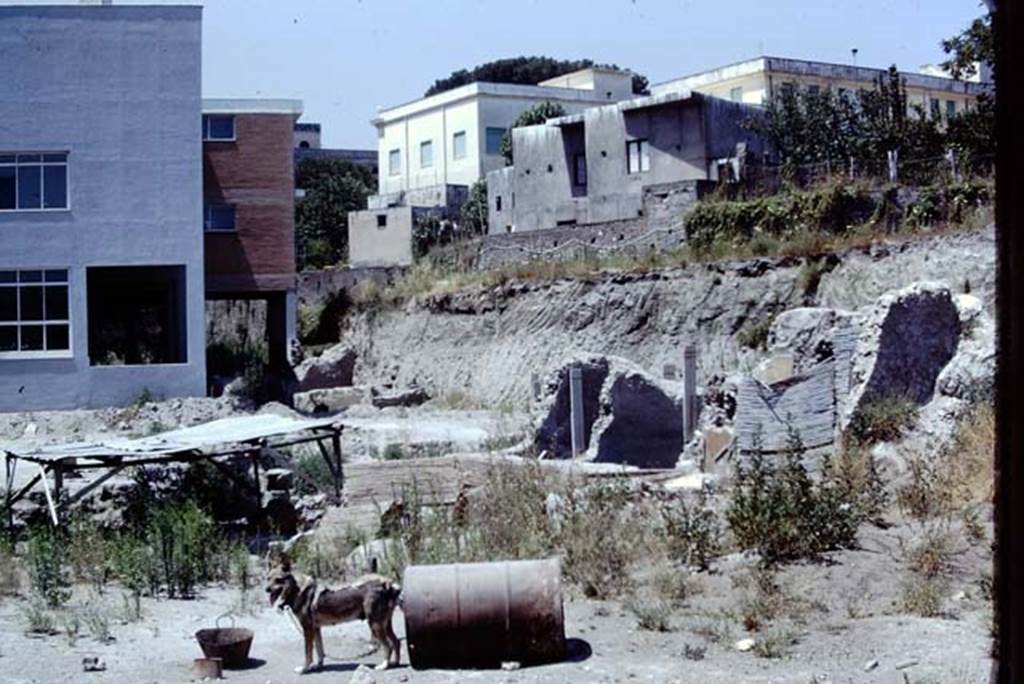 Oplontis, Villa of Lucius Crassius Tertius. 1975. Looking west. Photo by Stanley A. Jashemski.
Source: The Wilhelmina and Stanley A. Jashemski archive in the University of Maryland Library, Special Collections (See collection page) and made available under the Creative Commons Attribution-Non Commercial License v.4. See Licence and use details.
J75f0423