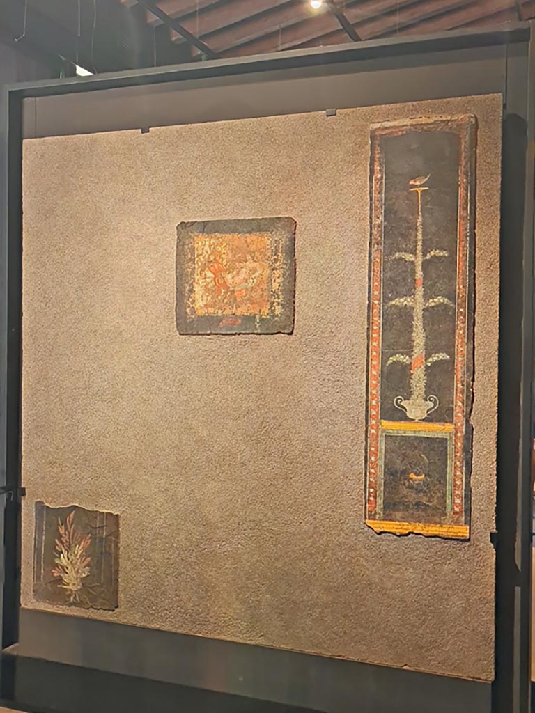 Gragnano, Villa rustica in Località Carmiano, Villa A. Cubiculum 8 east wall. April 2022.
Photo courtesy of Giuseppe Ciaramella.