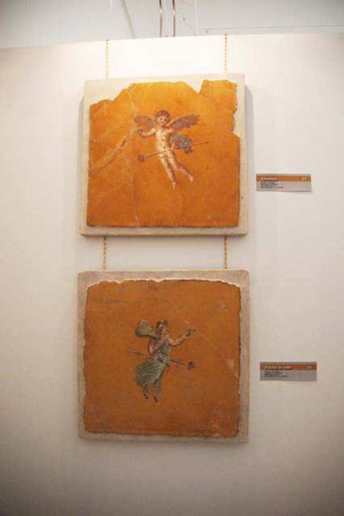 Gragnano, Villa rustica in Località Carmiano, Villa A. Room 9. 
Detail of flying cupid, holding thyrsus and patera.
