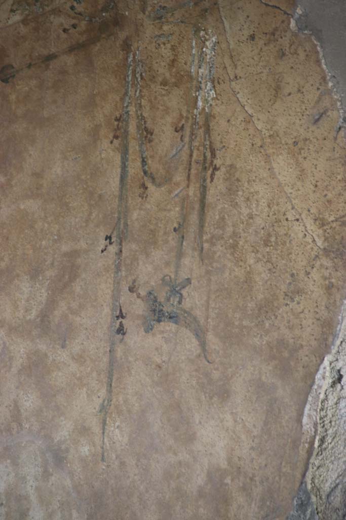 Stabiae, Villa Arianna, September 2021.
Room M, detail of painted decoration from south wall. Photo courtesy of Klaus Heese.