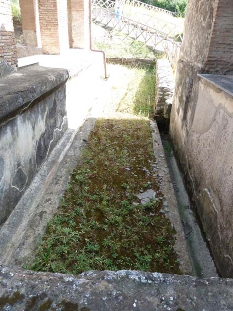 Stabiae, Villa Arianna, September 2015. Garden D, looking south through window on terrace.