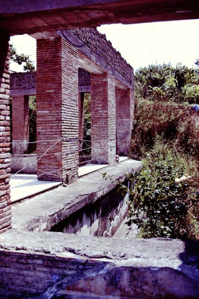 Villa Arianna, 1976. Looking south across sunken garden on west side of summer triclinium. Photo by Stanley A. Jashemski.   
Source: The Wilhelmina and Stanley A. Jashemski archive in the University of Maryland Library, Special Collections (See collection page) and made available under the Creative Commons Attribution-Non Commercial License v.4. See Licence and use details. J76f0521
