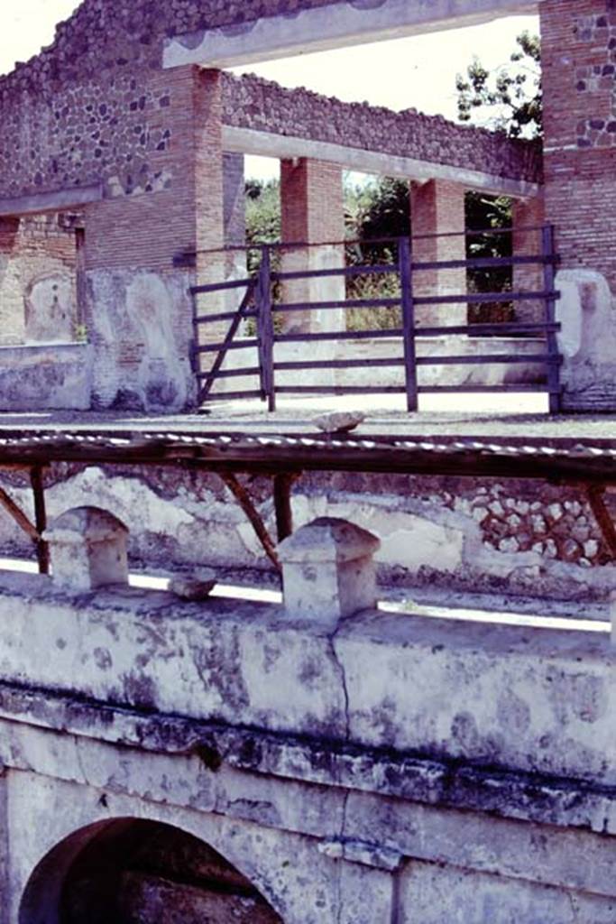 Stabiae, Villa Arianna, 1976. Looking south-east towards the doorway into the triclinium. Photo by Stanley A. Jashemski.   
Source: The Wilhelmina and Stanley A. Jashemski archive in the University of Maryland Library, Special Collections (See collection page) and made available under the Creative Commons Attribution-Non Commercial License v.4. See Licence and use details. J76f0515
