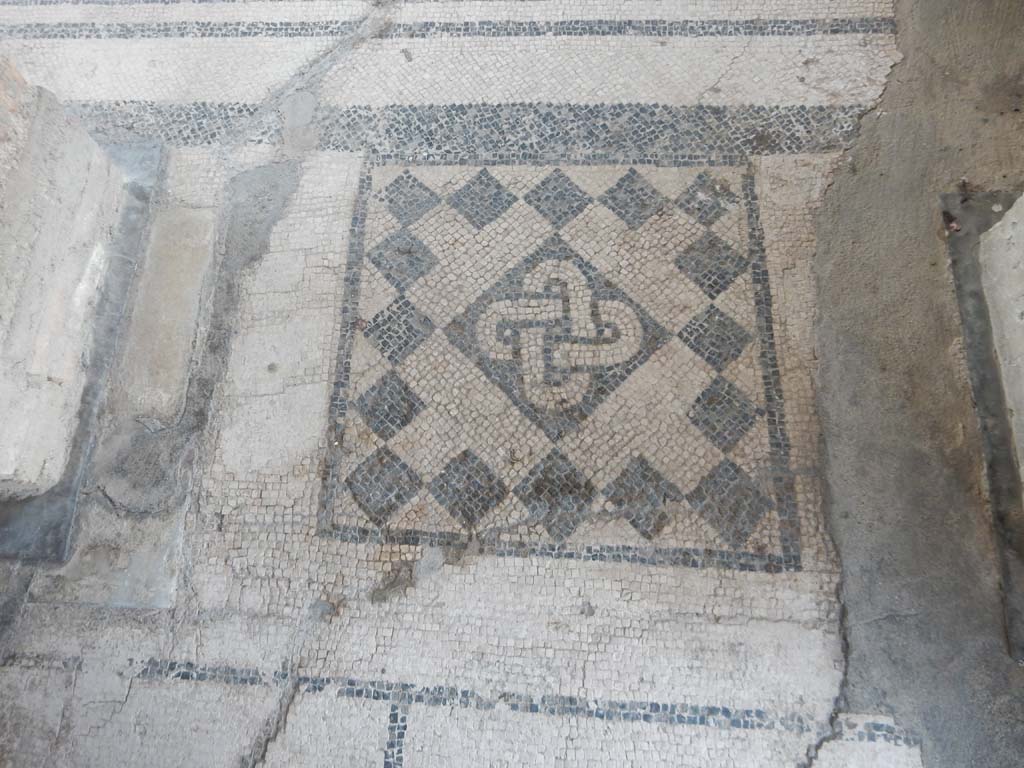 Stabiae, Villa Arianna, June 2019. Room 11, threshold in doorway into room 12. Photo courtesy of Buzz Ferebee.