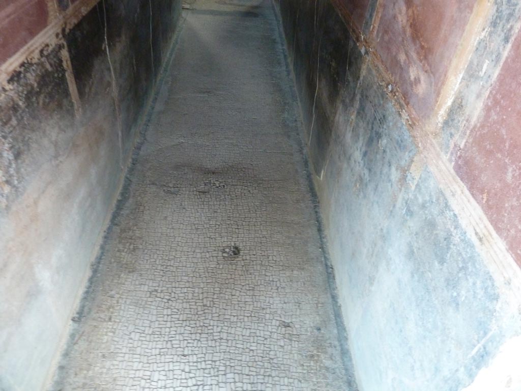 Stabiae, Villa Arianna, September 2015. Corridor 8, looking south along floor.