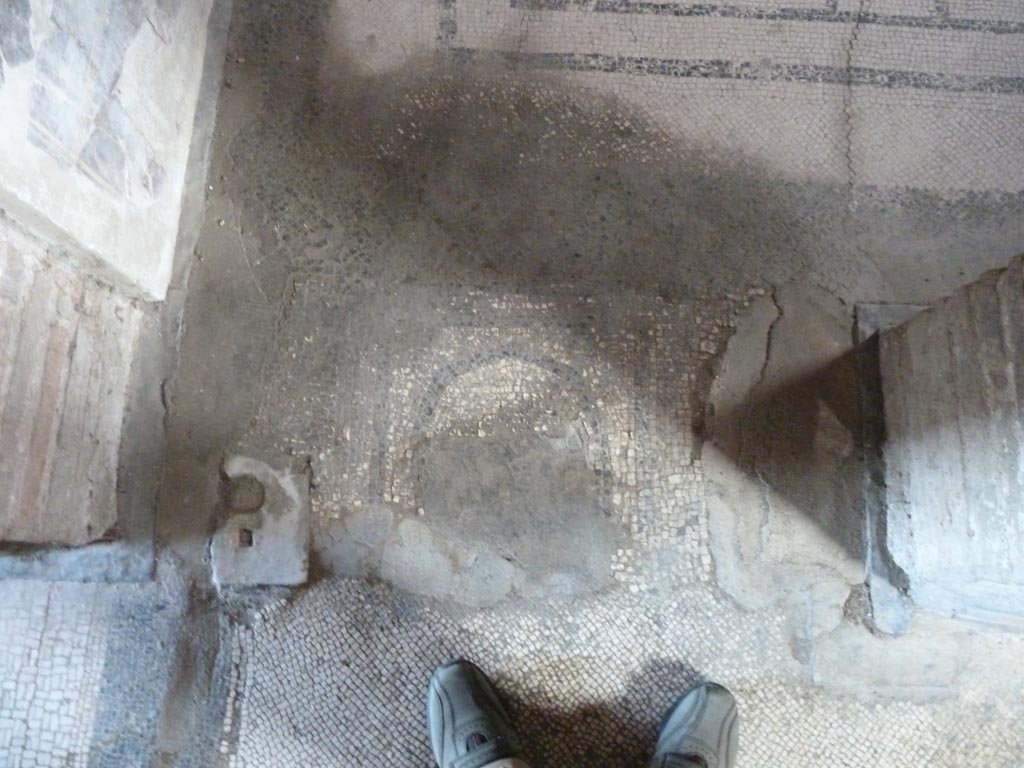 Stabiae, Villa Arianna, September 2015. Room 5, threshold in doorway, with floor of corridor 8, on left. 